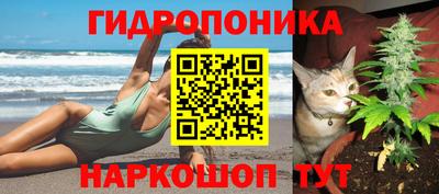 мдма Заволжье