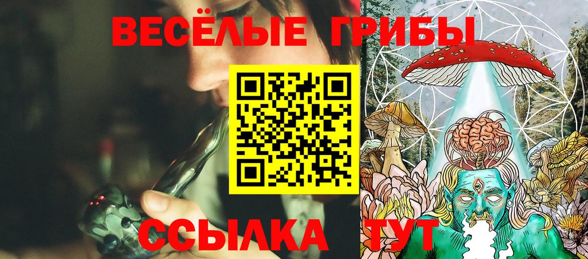 Псилоцибиновые грибы прущие грибы Лабинск